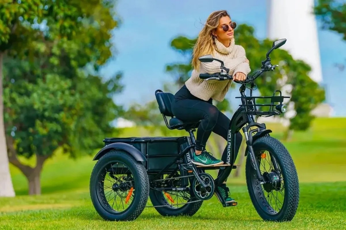 addmotor electric trike