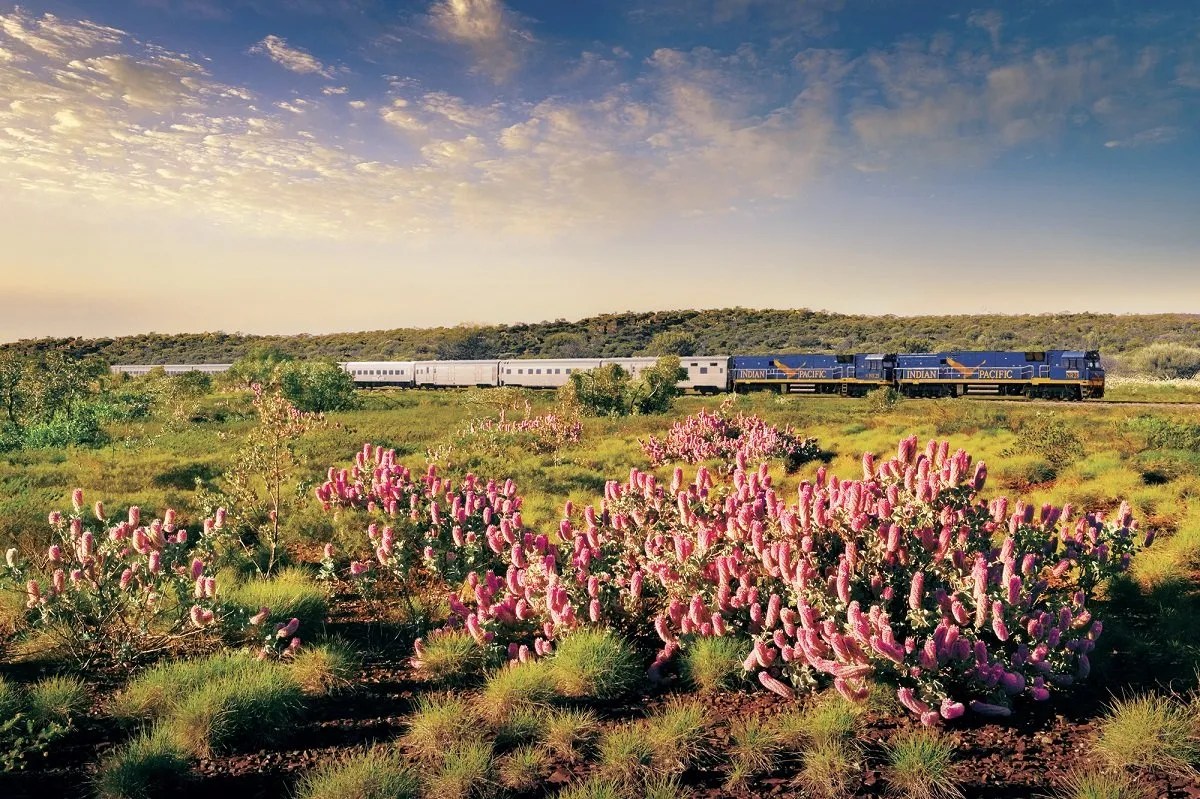 Indian Pacific Train