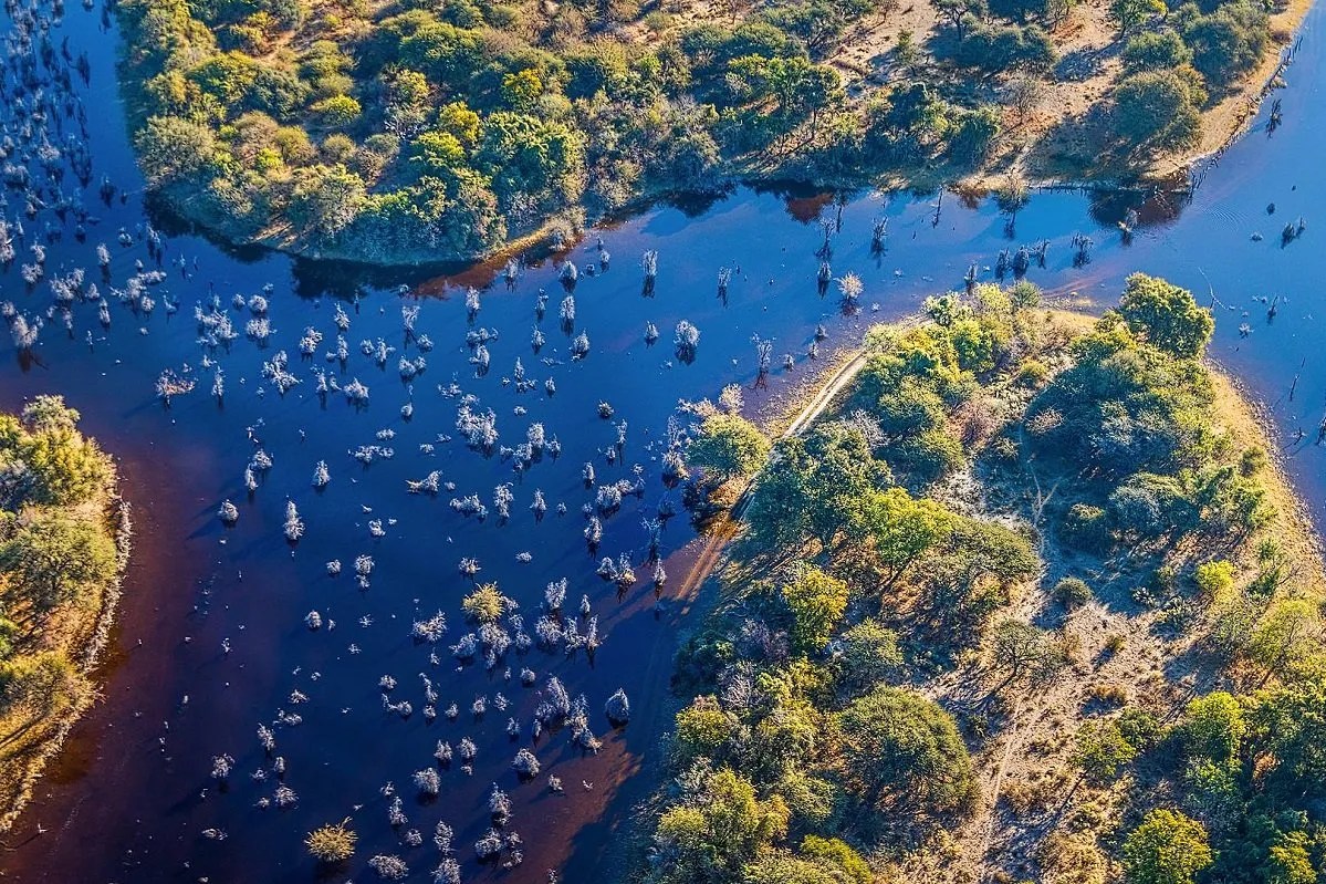 One Week Magical Trip To The Wild Of Botswana