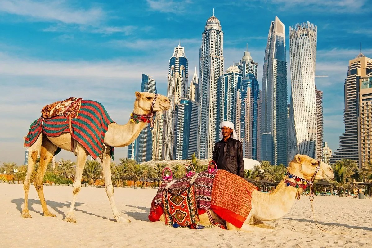 Camel ride on the beach, Dubai