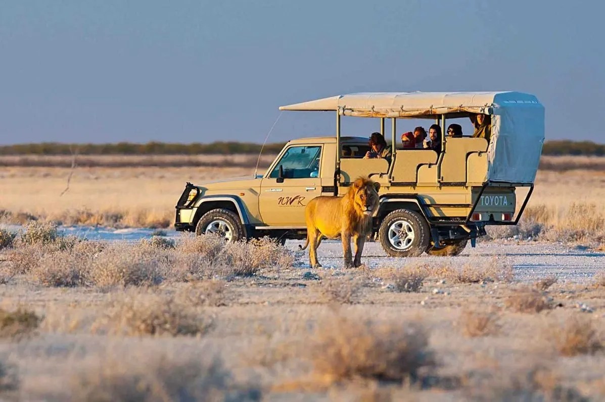 etosha-National-Park-in-Namibia