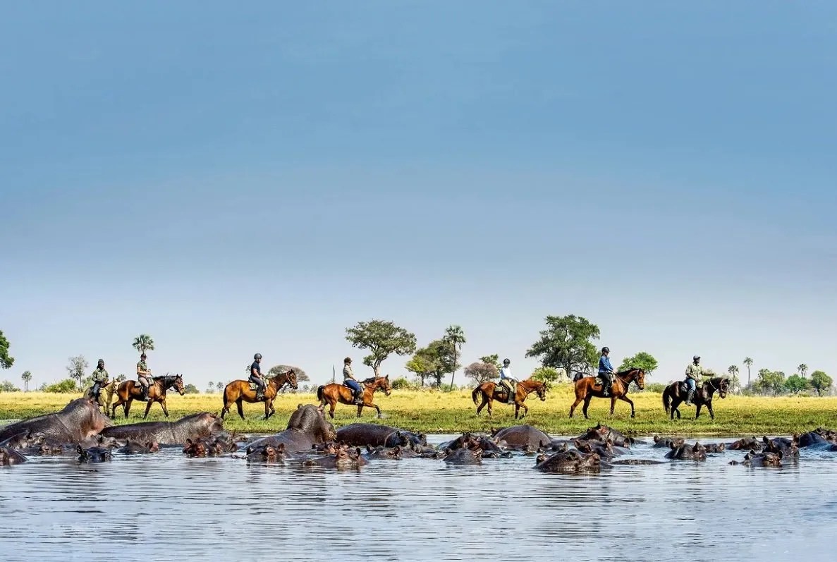 Horseback Safari: A Unique Way to Explore Africa