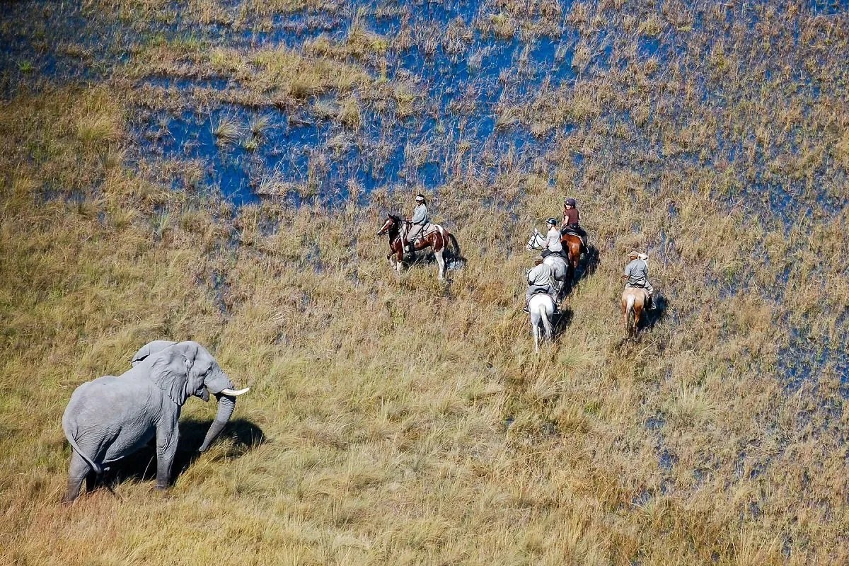 Horseback safari in Botswana