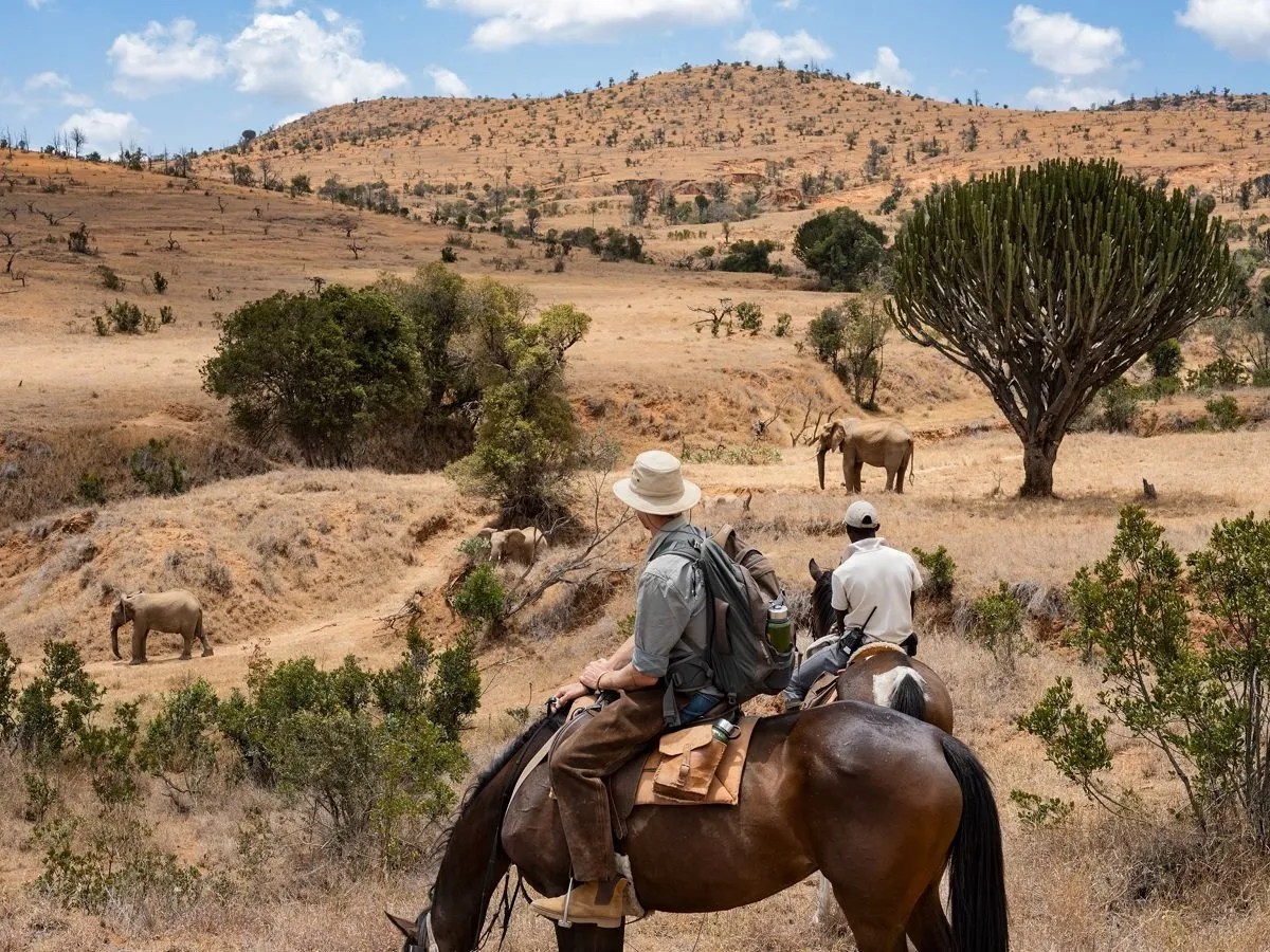 Horseback safari in Kenya